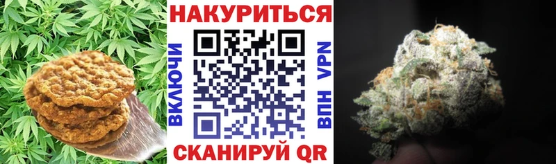 Canna-Cookies марихуана  Купить  Нижневартовск 