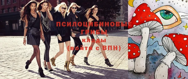 apvp Краснослободск