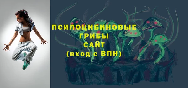 apvp Краснослободск