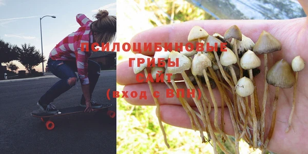 apvp Краснослободск